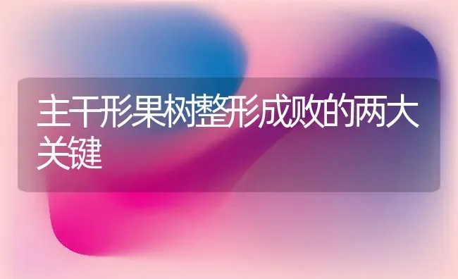 主干形果树整形成败的两大关键 | 瓜果种植
