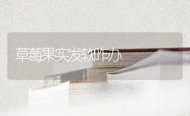 草莓果实发软咋办 | 瓜果种植