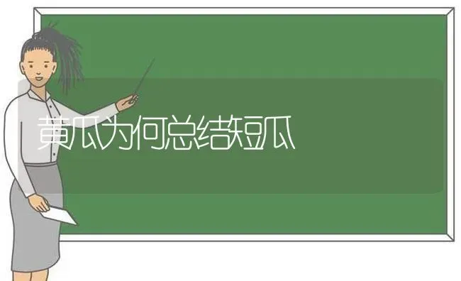 黄瓜为何总结短瓜 | 蔬菜种植