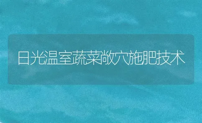 日光温室蔬菜敞穴施肥技术 | 蔬菜种植