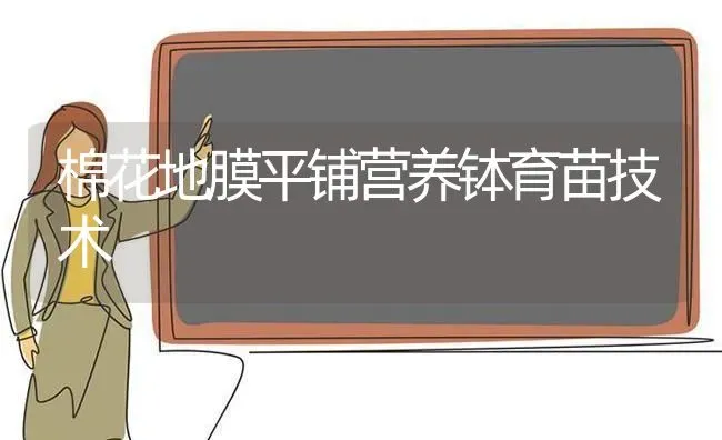 棉花地膜平铺营养钵育苗技术 | 粮油作物种植