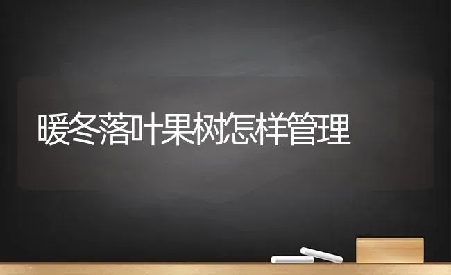 暖冬落叶果树怎样管理 | 瓜果种植