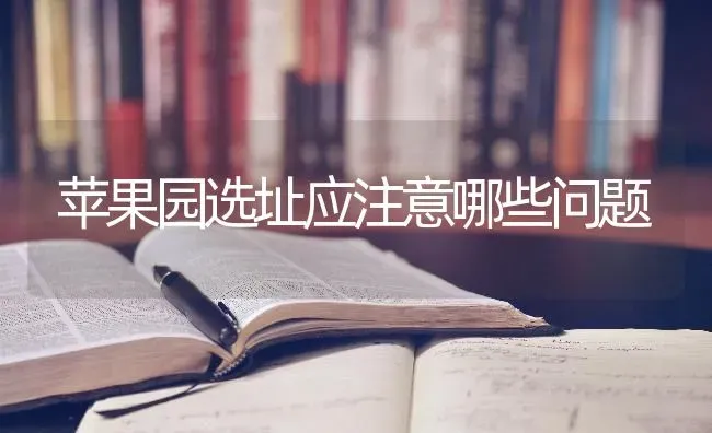 苹果园选址应注意哪些问题 | 瓜果种植