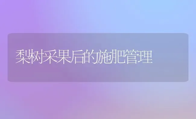 梨树采果后的施肥管理 | 瓜果种植