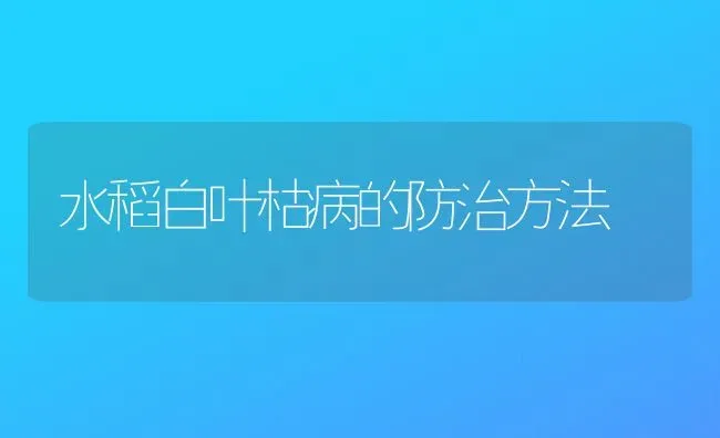 水稻白叶枯病的防治方法 | 粮油作物种植