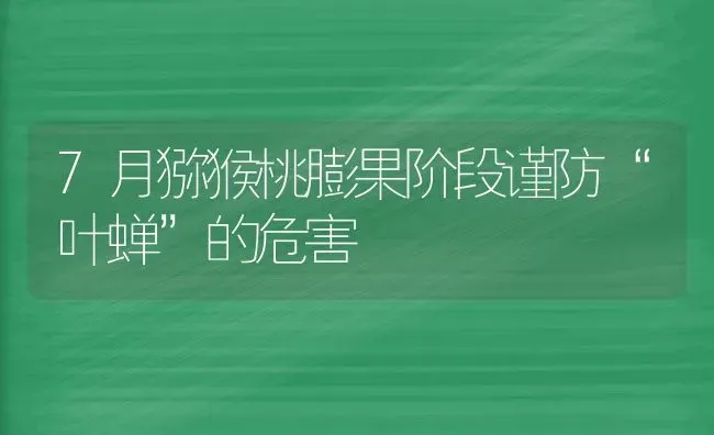 7月猕猴桃膨果阶段谨防“叶蝉”的危害 | 瓜果种植