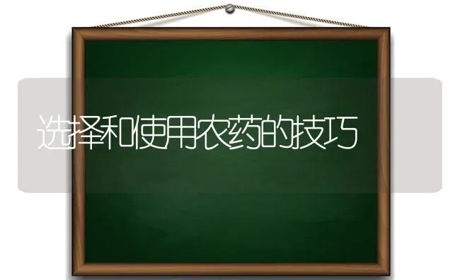 选择和使用农药的技巧 | 种植病虫害防治