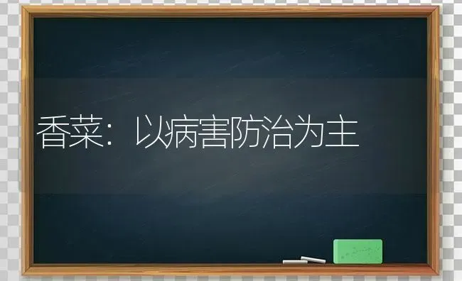 香菜：以病害防治为主 | 蔬菜种植