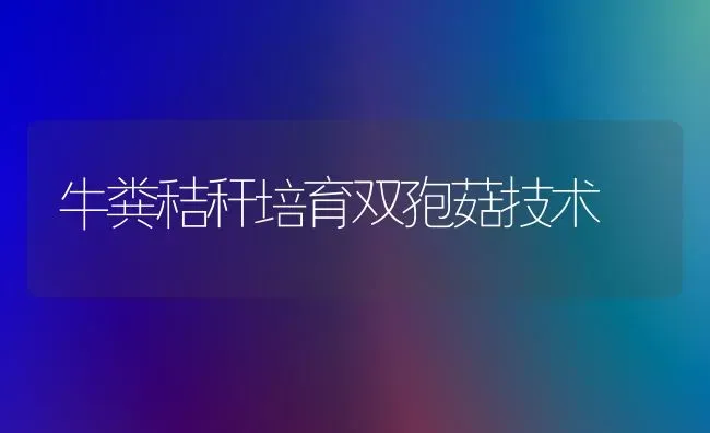 牛粪秸秆培育双孢菇技术 | 食用菌种植