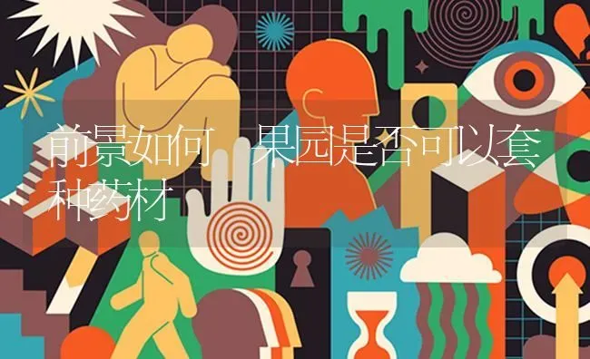 前景如何 果园是否可以套种药材 | 瓜果种植