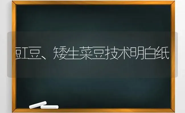 豇豆、矮生菜豆技术明白纸 | 蔬菜种植