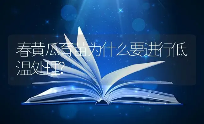春黄瓜育苗为什么要进行低温处理? | 蔬菜种植