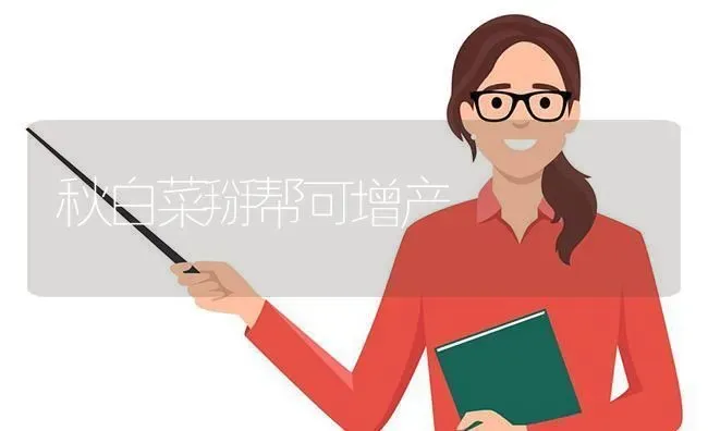 秋白菜掰帮可增产 | 蔬菜种植