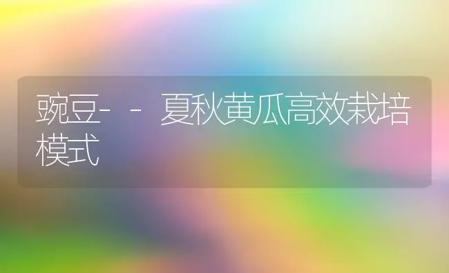 豌豆--夏秋黄瓜高效栽培模式 | 蔬菜种植