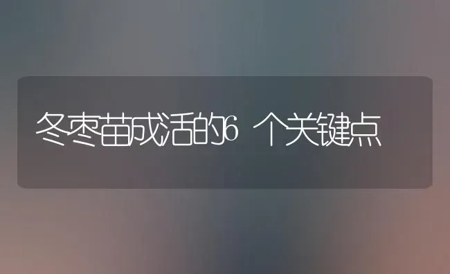 冬枣苗成活的6个关键点 | 瓜果种植