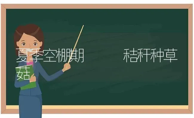 夏季空棚期   秸秆种草菇 | 食用菌种植