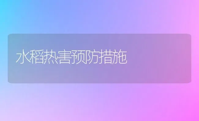 水稻热害预防措施 | 粮油作物种植