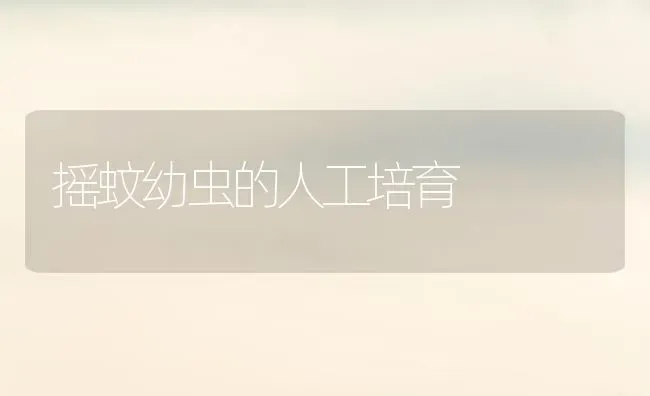 越夏蔬菜坐果期 果实畸形这么办 | 蔬菜种植