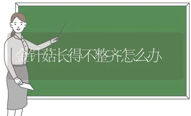 金针菇长得不整齐怎么办 | 食用菌种植