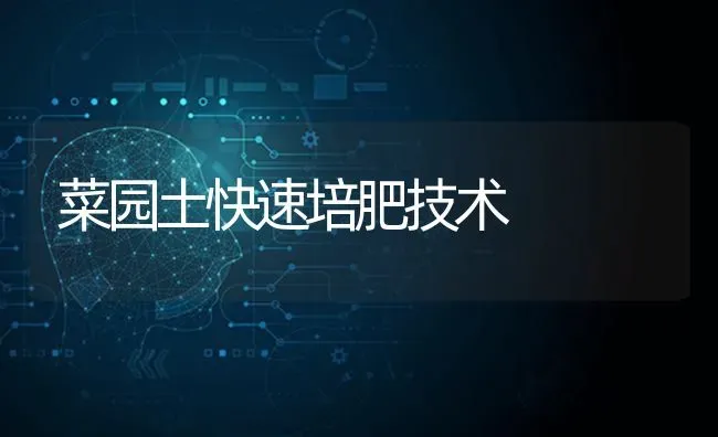 菜园土快速培肥技术 | 蔬菜种植