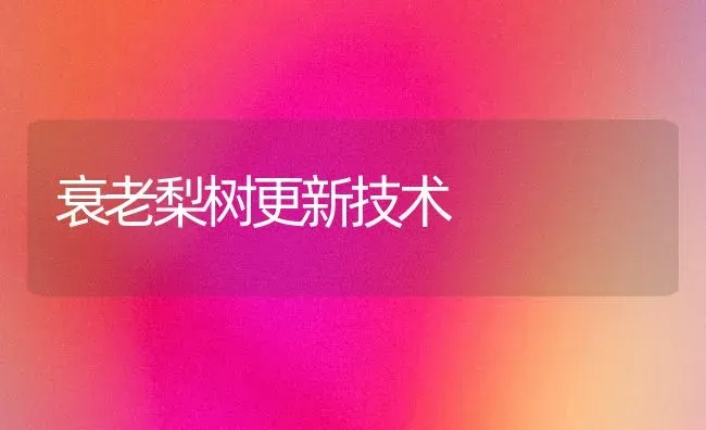 衰老梨树更新技术 | 瓜果种植