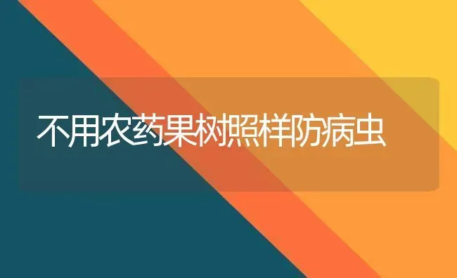 不用农药果树照样防病虫 | 瓜果种植