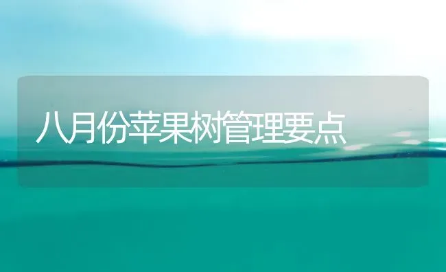 八月份苹果树管理要点 | 瓜果种植