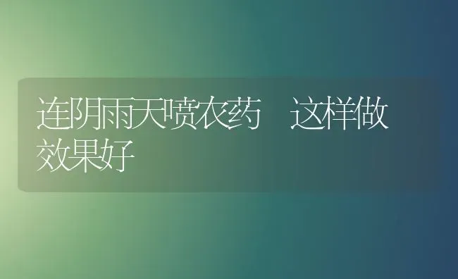 连阴雨天喷农药 这样做 效果好 | 瓜果种植
