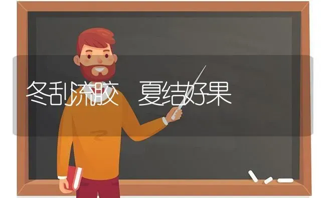 冬刮流胶 夏结好果 | 瓜果种植