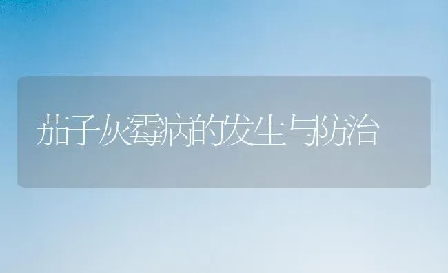 茄子灰霉病的发生与防治 | 蔬菜种植