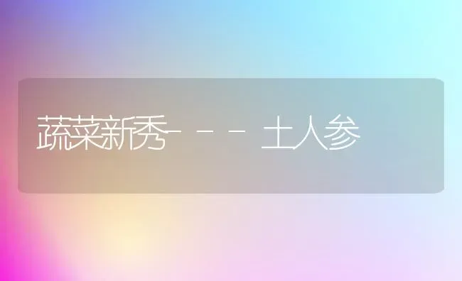 蔬菜新秀---土人参 | 蔬菜种植