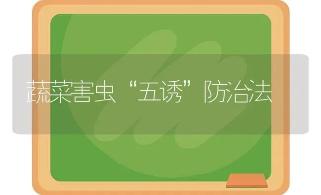 蔬菜害虫“五诱”防治法 | 蔬菜种植