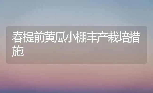 春提前黄瓜小棚丰产栽培措施 | 蔬菜种植