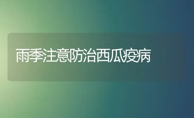 雨季注意防治西瓜疫病 | 瓜果种植