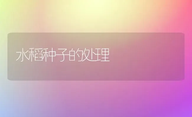 水稻种子的处理 | 粮油作物种植