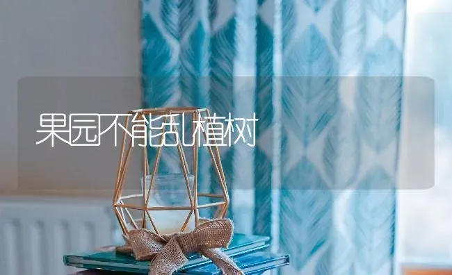 果园不能乱植树 | 瓜果种植