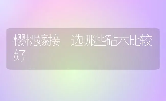 樱桃嫁接 选哪些砧木比较好 | 瓜果种植