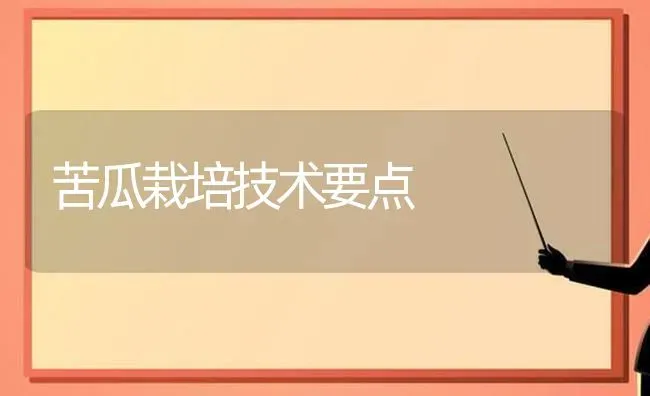 苦瓜栽培技术要点 | 蔬菜种植