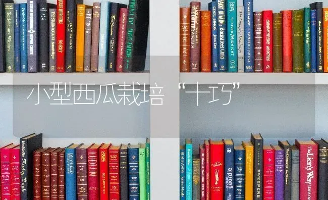 小型西瓜栽培“十巧” | 瓜果种植