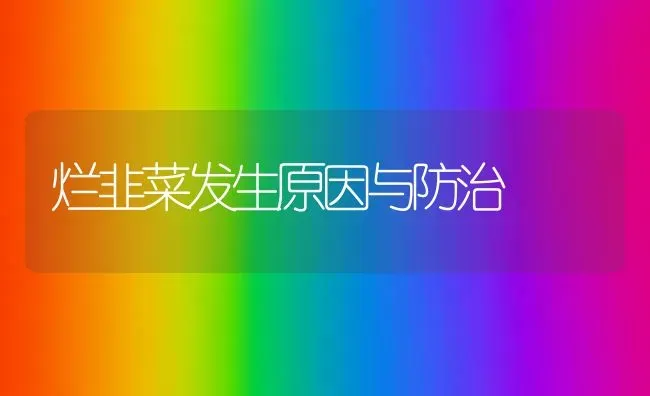 烂韭菜发生原因与防治 | 蔬菜种植