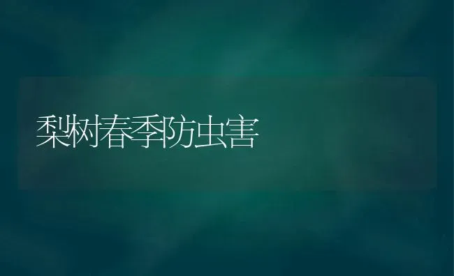 梨树春季防虫害 | 瓜果种植