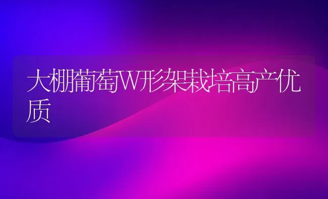 大棚葡萄W形架栽培高产优质 | 瓜果种植