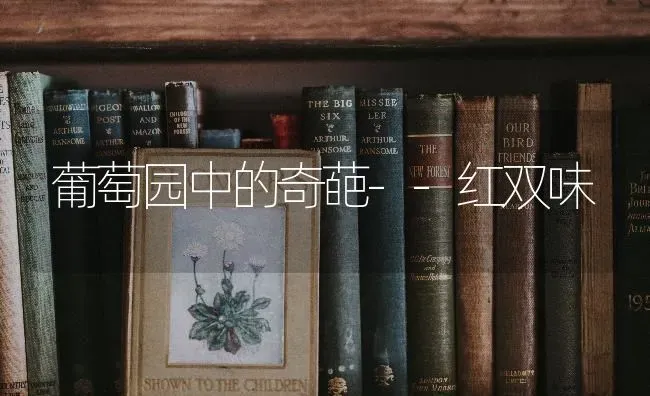 葡萄园中的奇葩--红双味 | 瓜果种植