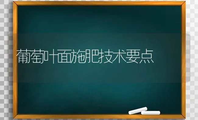 葡萄叶面施肥技术要点 | 种植肥料施肥