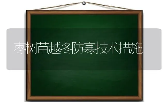 枣树苗越冬防寒技术措施 | 瓜果种植