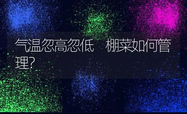 气温忽高忽低 棚菜如何管理？ | 蔬菜种植
