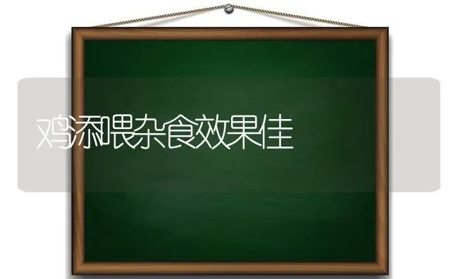 鸡添喂杂食效果佳 | 瓜果种植