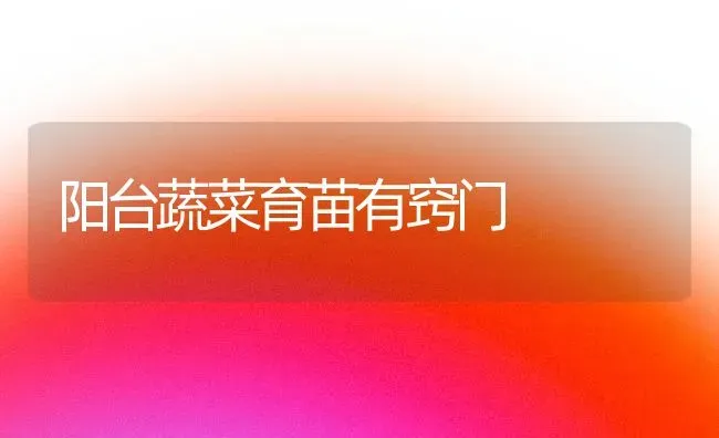 阳台蔬菜育苗有窍门 | 蔬菜种植