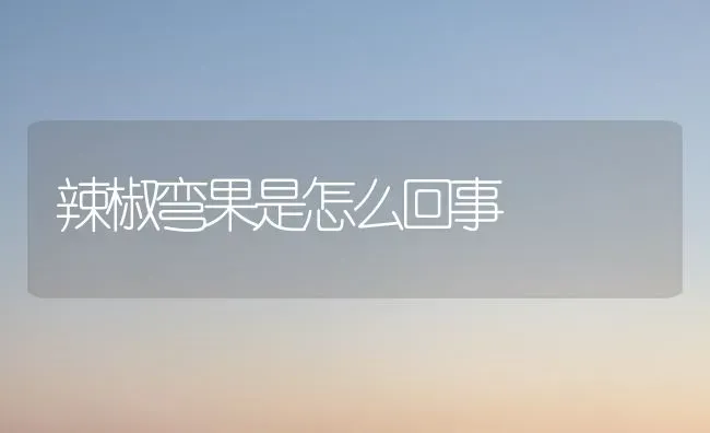 辣椒弯果是怎么回事 | 瓜果种植