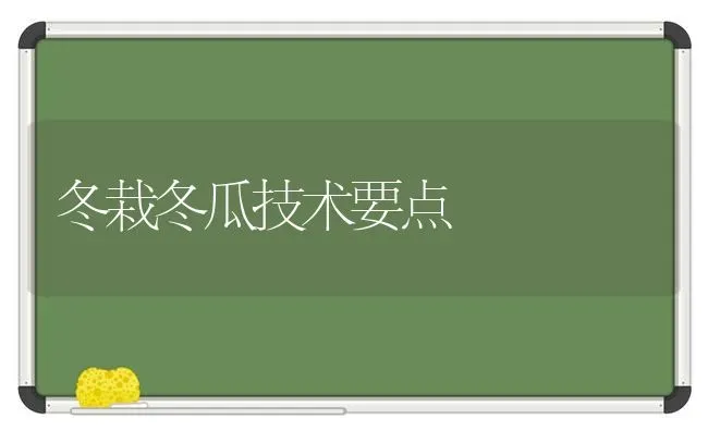 冬栽冬瓜技术要点 | 蔬菜种植